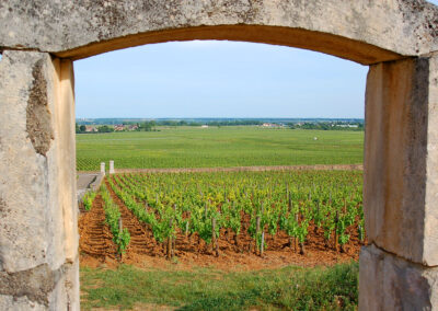 Touring Burgundy, Bellene Style! – Loosen Bros. USA Monthly Newsletter