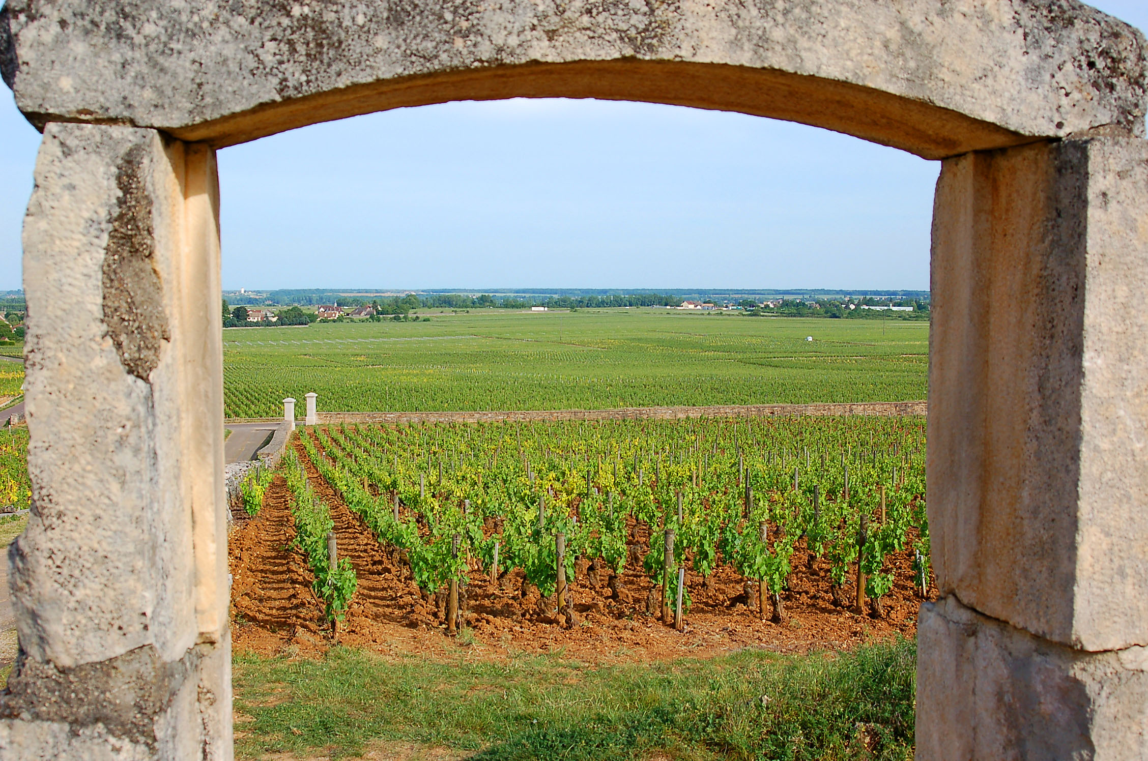 Touring Burgundy, Bellene Style! – Loosen Bros. USA Monthly Newsletter