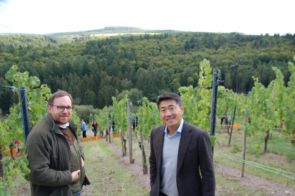 Maximin and David photographed in the Abtsberg Vineyard while the harvest crew works in a lower section of vines