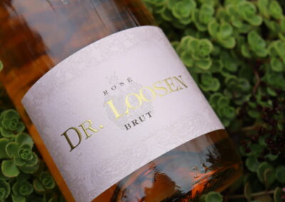 Sip, Sip, Rosé! Wines in Bloom for February  – Loosen Bros. USA Monthly Newsletter