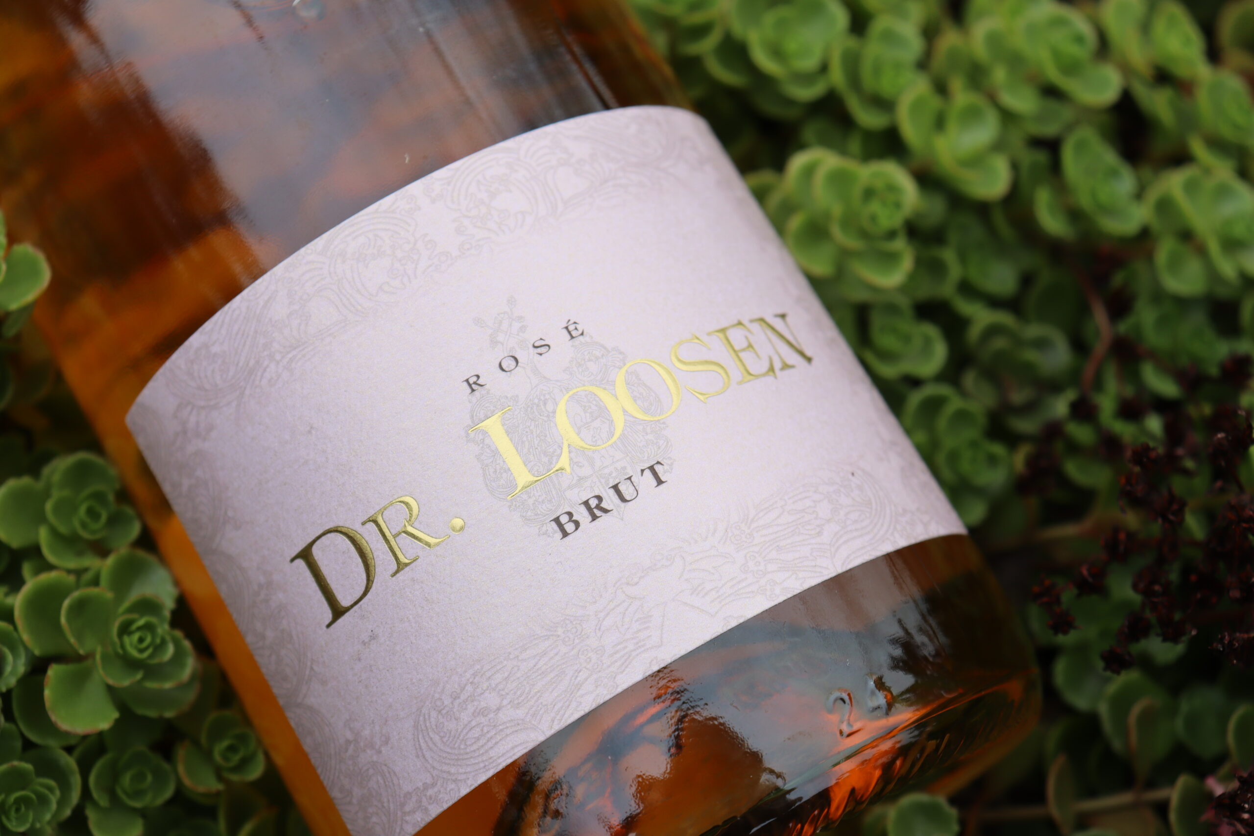 Sip, Sip, Rosé! Wines in Bloom for February  – Loosen Bros. USA Monthly Newsletter