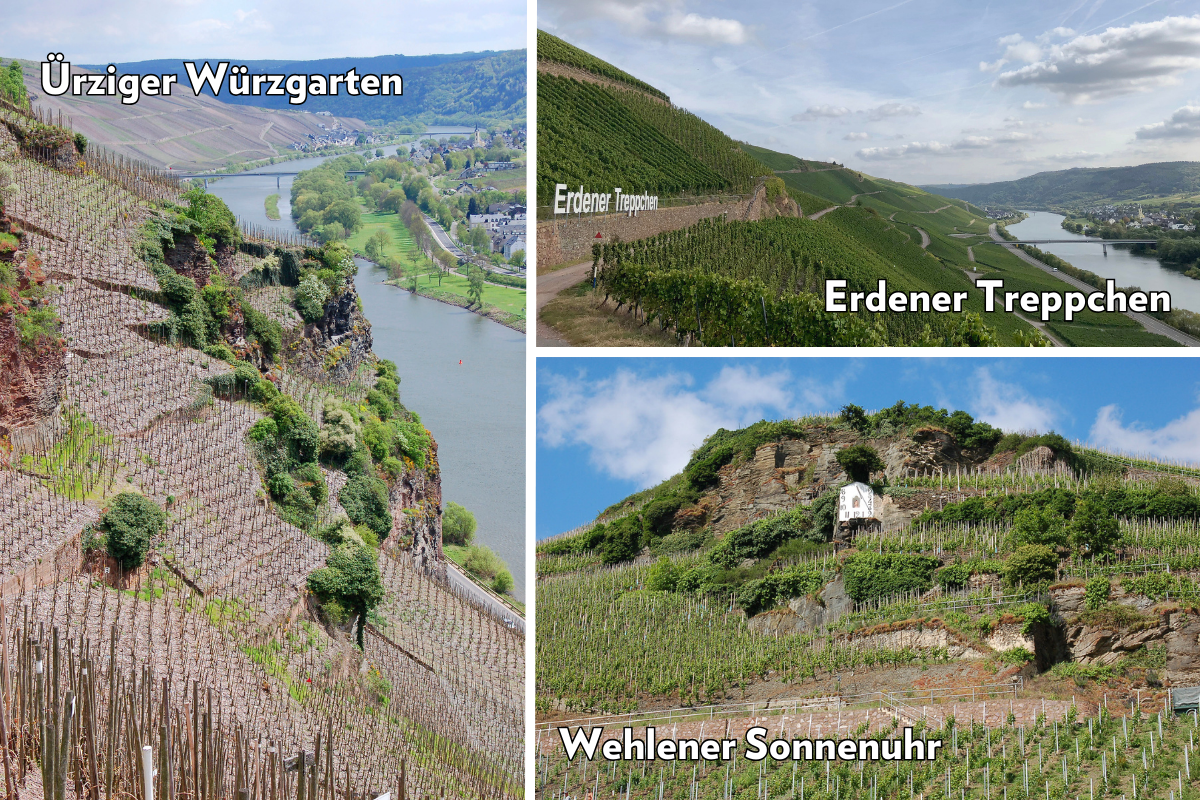 Dr. Loosen Vineyards – Erdener Treppchen, Ürziger Würzgarten, and Wehlener Sonnenuhr
