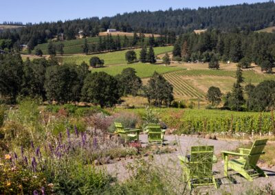 Celebrating Oregon Wine Month – Loosen Bros. USA Monthly Newsletter