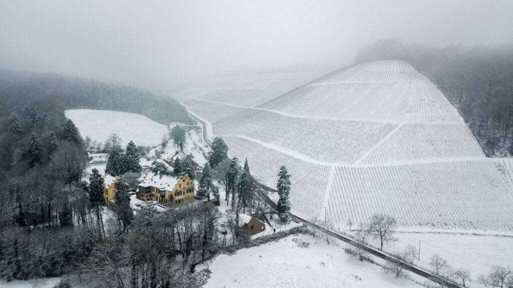 Maximin Grünhaus Estate in Winter Snow