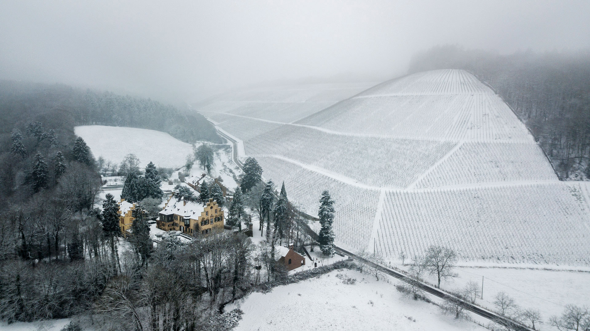 Maximin Grünhaus Estate in Winter Snow