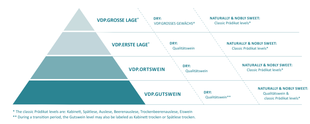 VDP Classification Pyramid