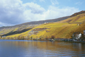 Bernkasteler Lay Vineyard