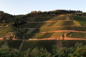 Erdener Treppchen Vineyard