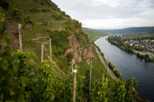 Ürziger Würzgarten Vineyard