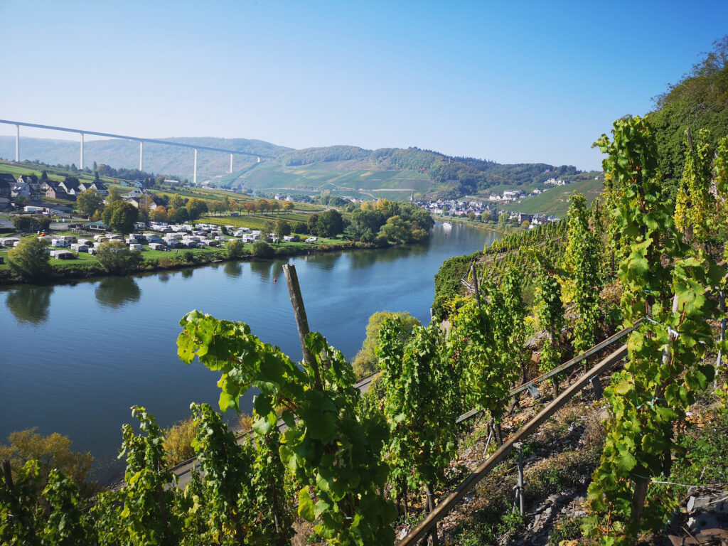 View of the Mosel from the Erdener Prälat Vineyard