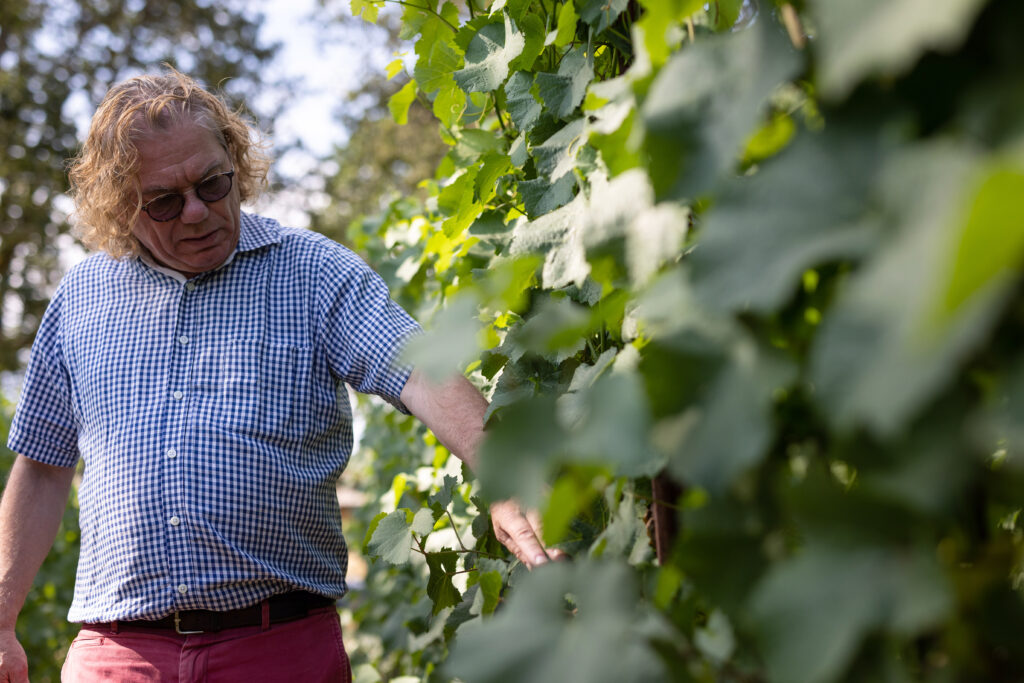Westhofen Vineyard & Soil (1) Erni Checking the Vines (BFP)