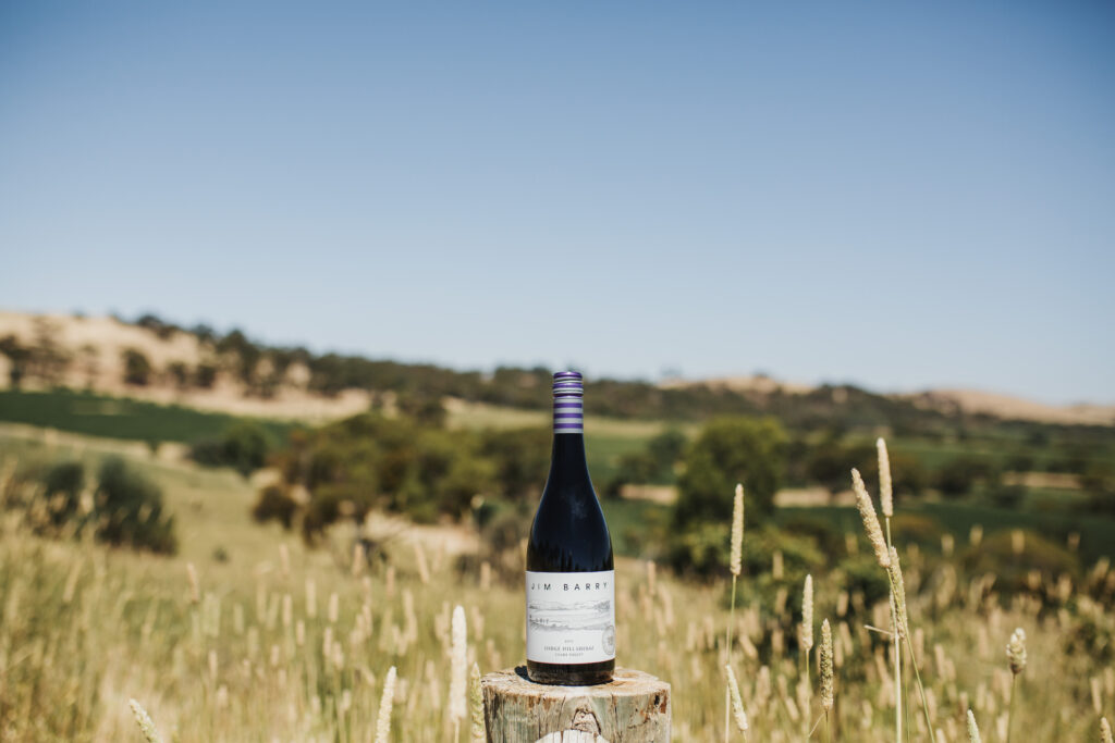 Lodge Hill Shiraz in the Vineyard