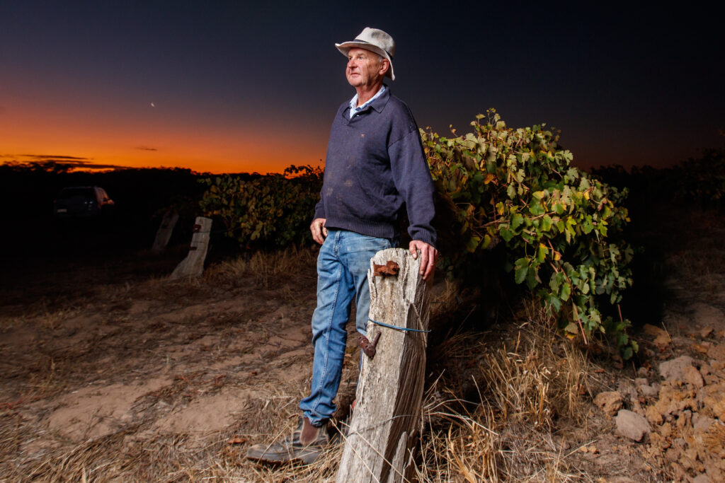 Peter Barry Stands in The Armagh Vineyard at Sunset
