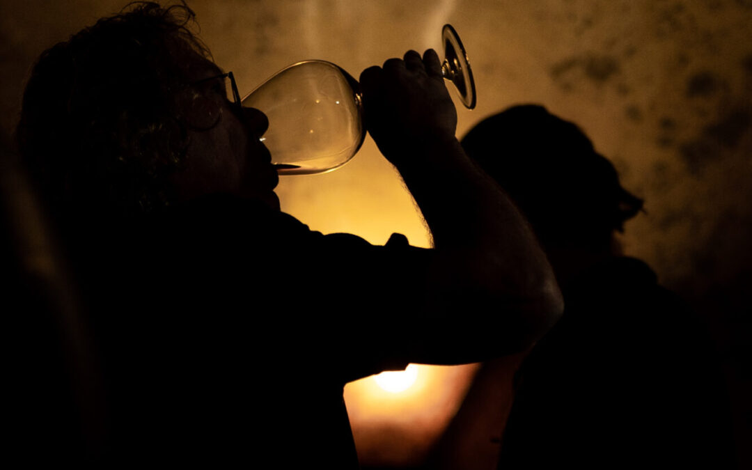 The Red Thread: Elegant, Expressive Pinots – Loosen Bros. USA Monthly Newsletter