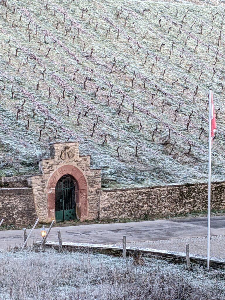 Frost Ushers in Winter in the Maximin Grünhaus Monopole Vineyards
