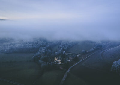 White Wines Buyers Actually Need in December – Loosen Bros. USA Monthly Newsletter