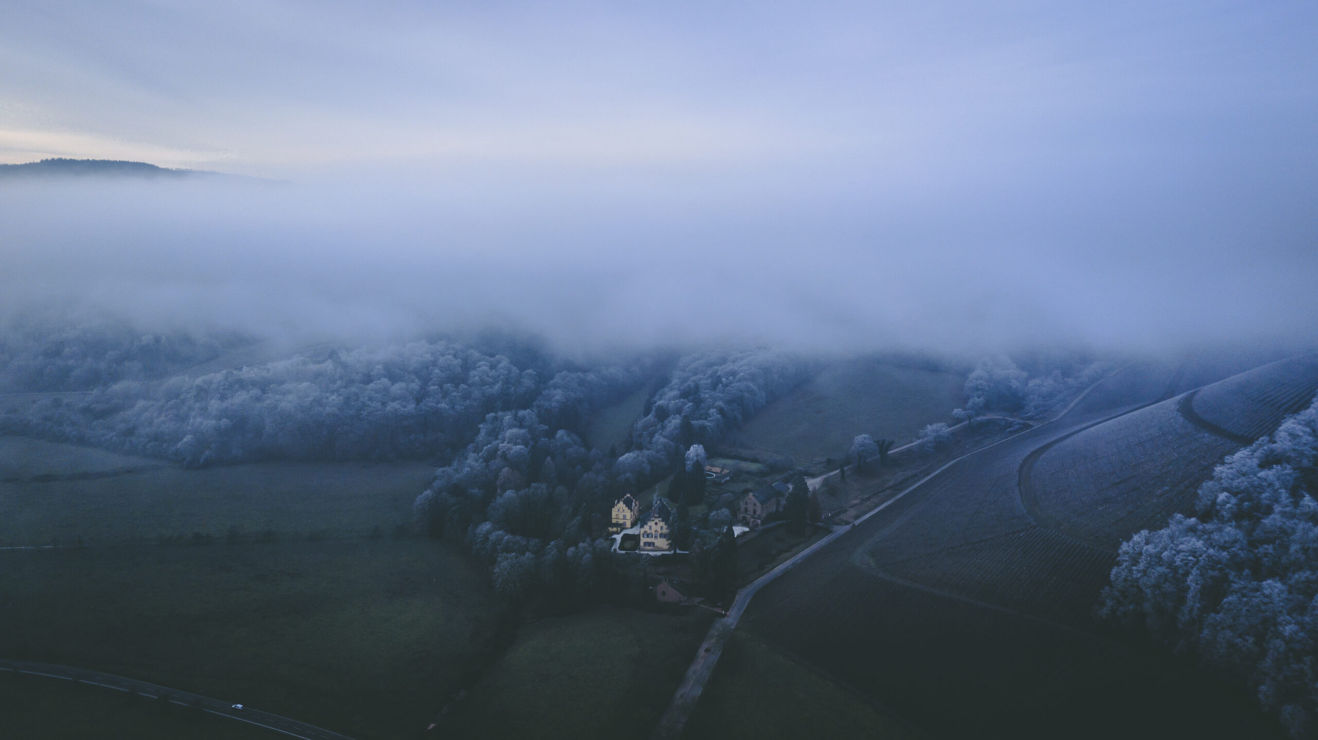 Misty Frost Rolls into the Vineyards