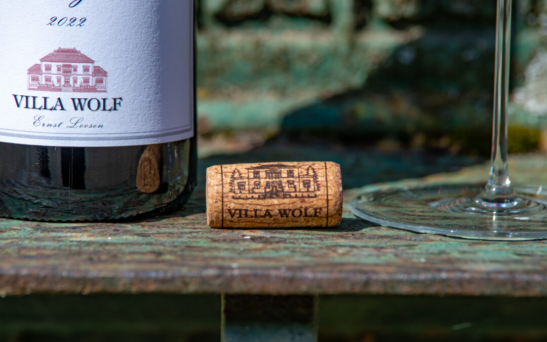 Winter Reds with Staying Power – Loosen Bros. USA Monthly Newsletter