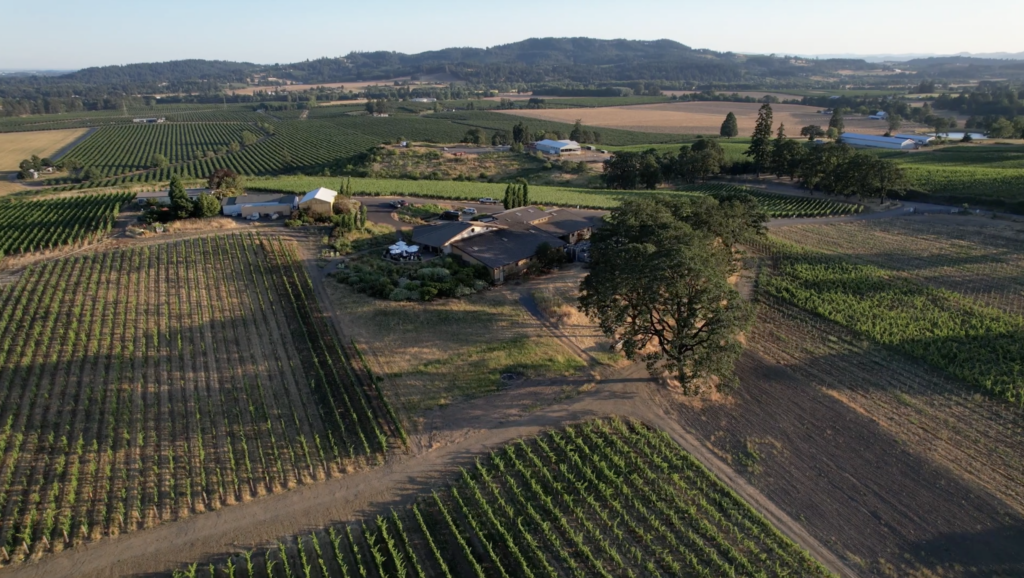 Appassionata Estate – Drone View Appassionata Estate – Drone View