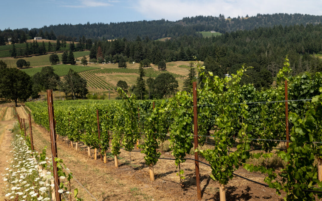 Two Ways to Rethink Oregon this May – Loosen Bros. USA Monthly Newsletter