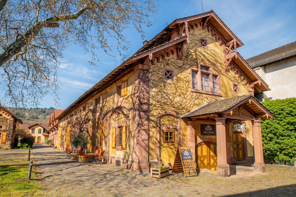 Villa Wolf Winery 2025