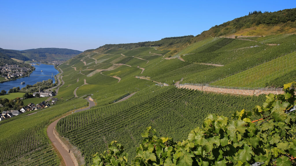 Appassionata All Bottles Mosel Valley Graach to Wehlen (BFP)